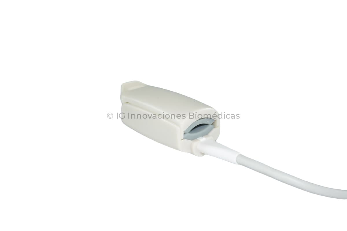 Terminal-Adulto-2 (1)